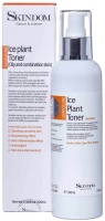 Skindom тоник с ледяником для чувствительной кожи Ice Plant Toner Sensitiv