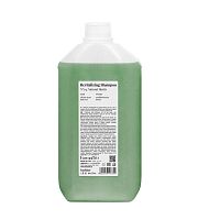 Восстанавливающий шампунь для волос FarmaVita BackBar Revitalizing, 5000 мл