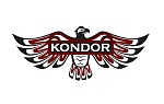 Kondor