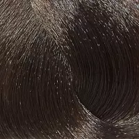 6.00 Крем-краска, темный блондин интенсивный / Reverso Hair Color 100 мл